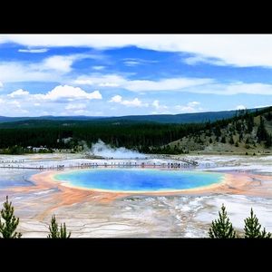 Meet your Posher, Jodie